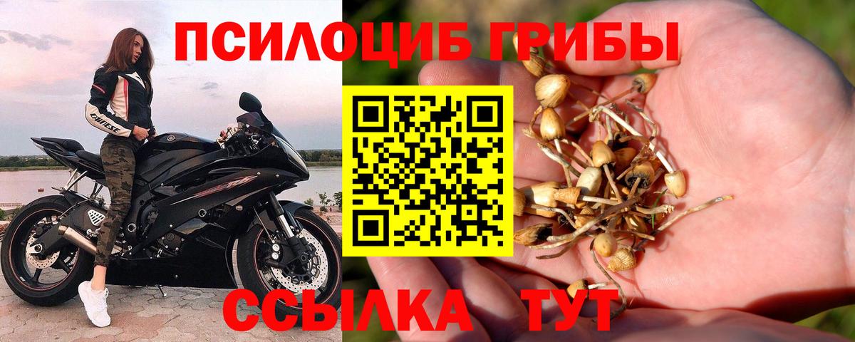 Псилоцибиновые грибы Magic Shrooms  Вход с VPN  Псилоцибиновые грибы Cubensis  Алапаевск 